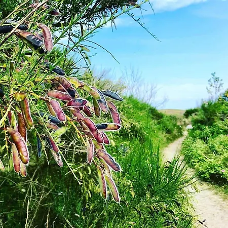 Hébergement de vacances 12277-sjaellands-odde-alsnaesvej-10 *