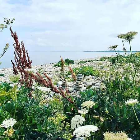 12277-sjaellands-odde-alsnaesvej-10 Hébergement de vacances Yderby